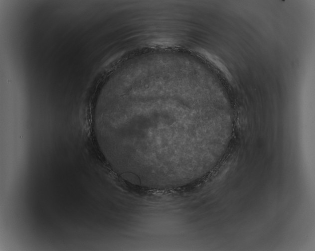 X0000100921015200807151217