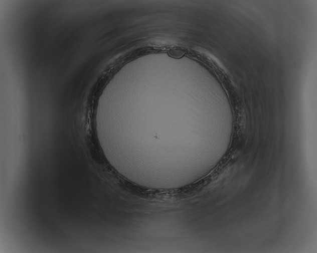 X0000100921016200807151217