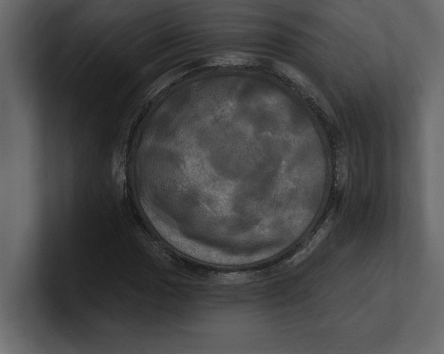 X0000100921017200807151217