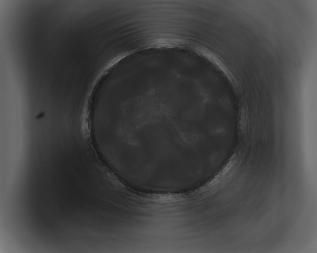 X0000100921018200807151217