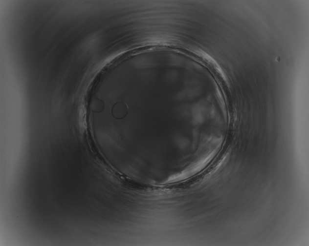 X0000100921019200807151217