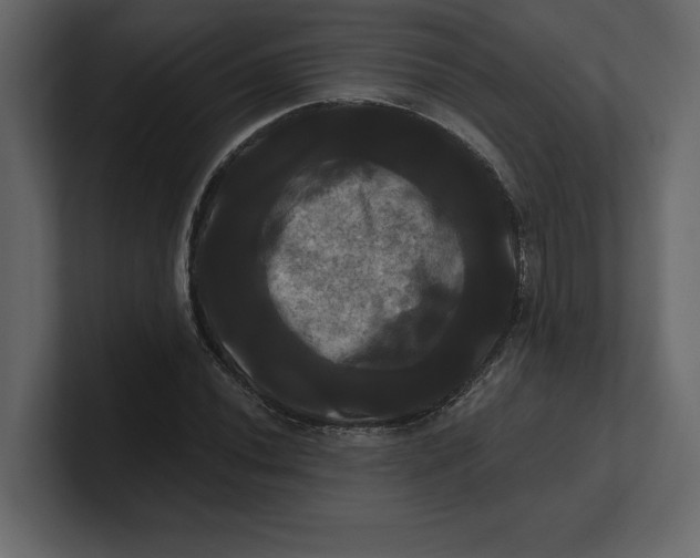 X0000100921020200807151217