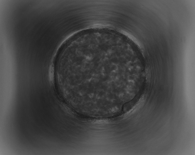 X0000100921021200807151217