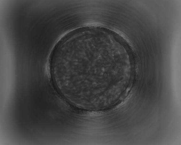 X0000100921022200807151217