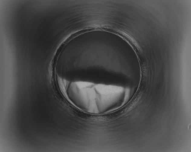 X0000100921023200807151217