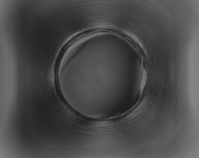 X0000100921024200807151217