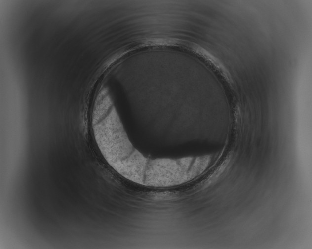 X0000100921025200807151217