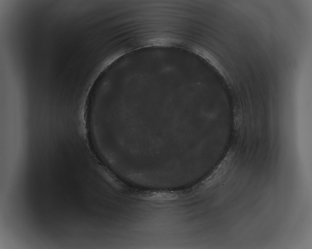 X0000100921026200807151217