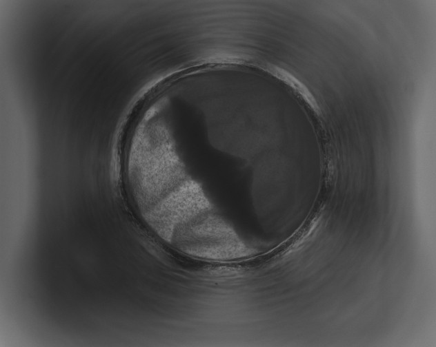 X0000100921027200807151217