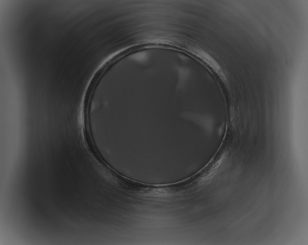 X0000100921028200807151217