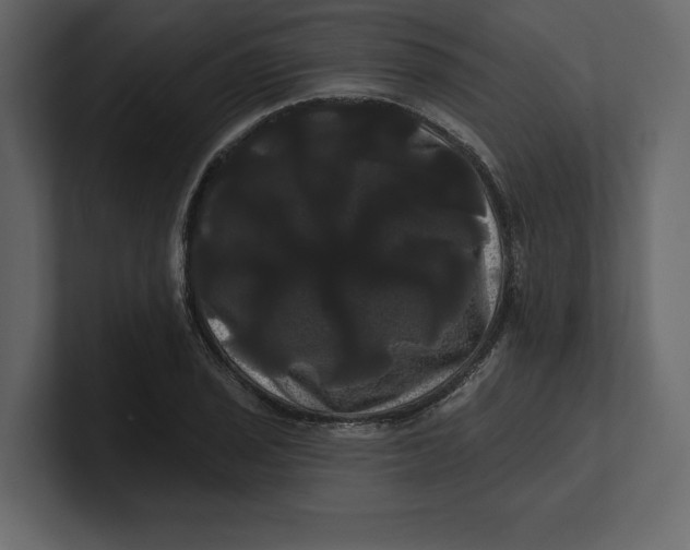 X0000100921029200807151217