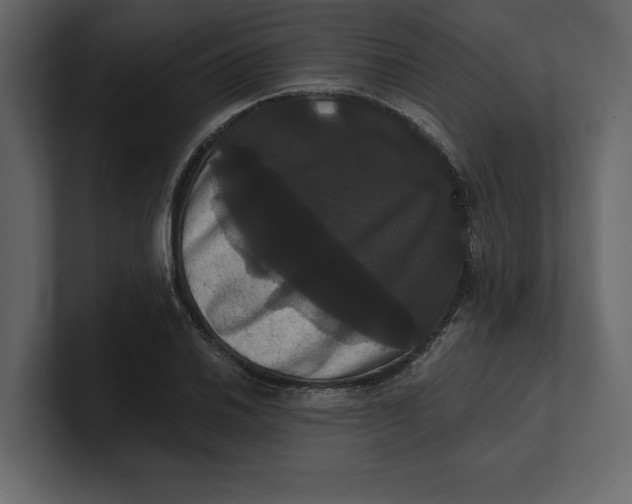 X0000100921030200807151217