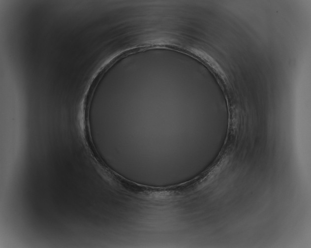 X0000100921031200807151217