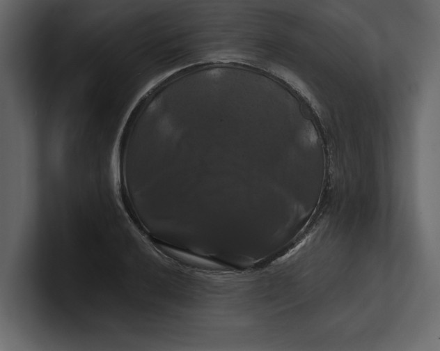 X0000100921032200807151217