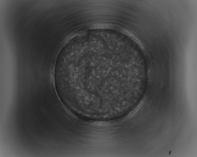 X0000100921033200807151217