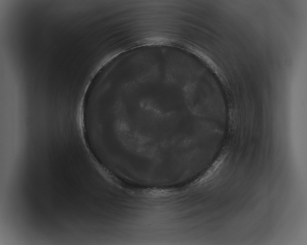 X0000100921034200807151217