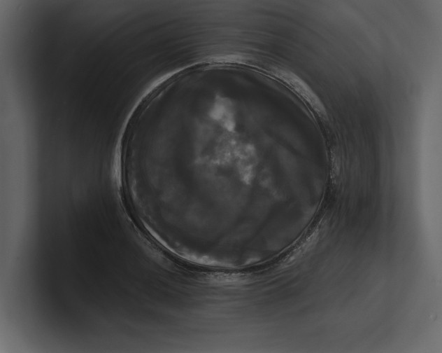 X0000100921036200807151217