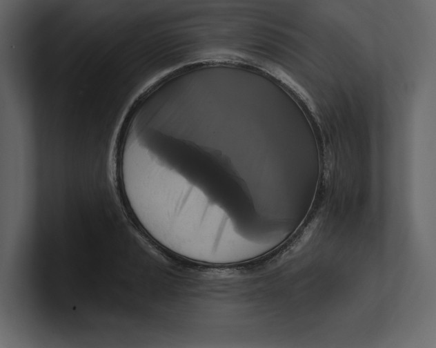 X0000100921037200807151217