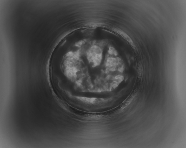 X0000100921039200807151217