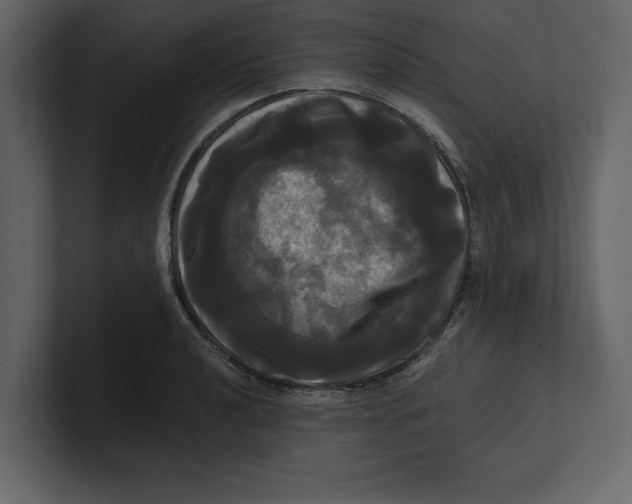 X0000100921040200807151217