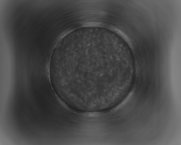 X0000100921041200807151217