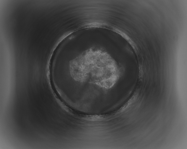 X0000100921042200807151217