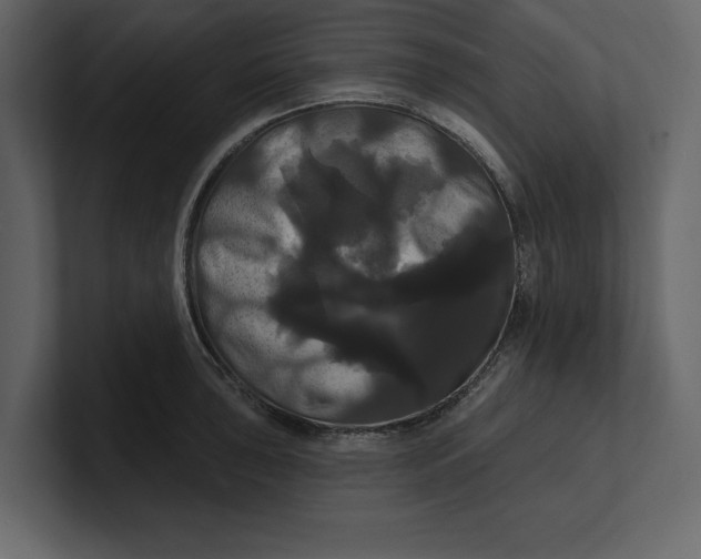 X0000100921043200807151218