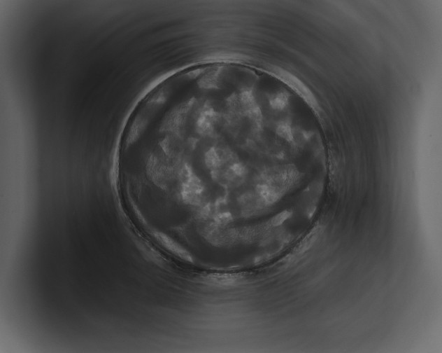 X0000100921044200807151218