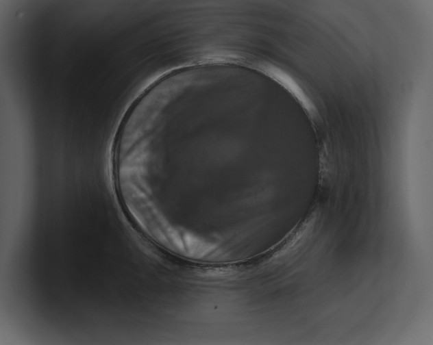 X0000100921047200807151218