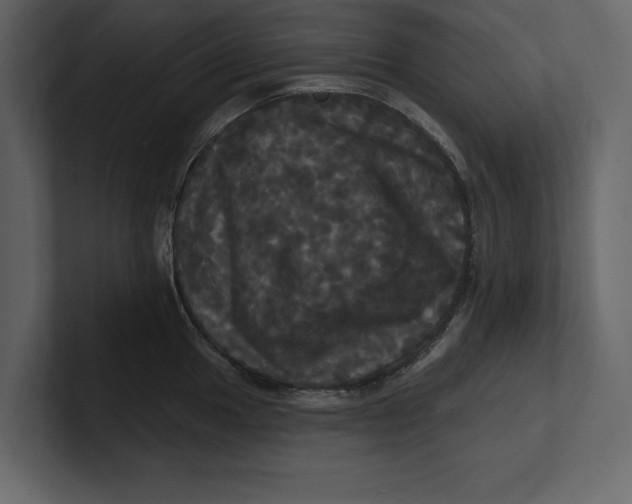 X0000100921049200807151218