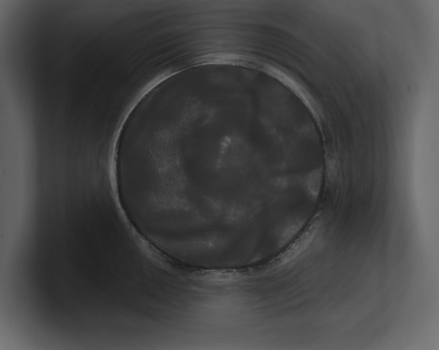 X0000100921050200807151218