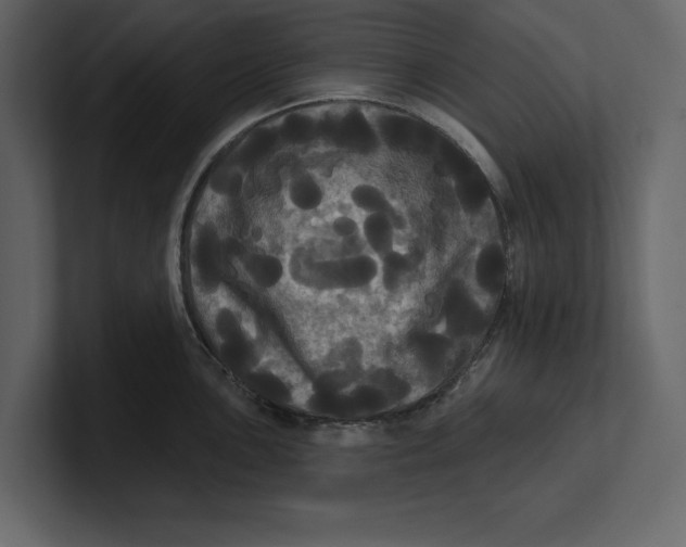 X0000100921051200807151218