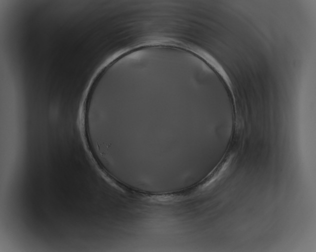 X0000100921053200807151218