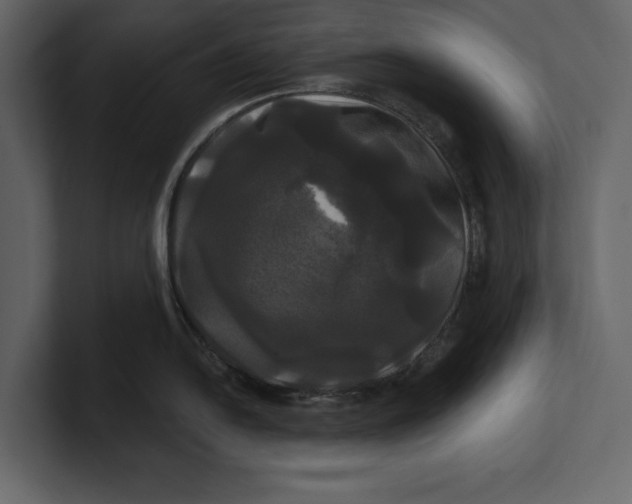 X0000100921054200807151218