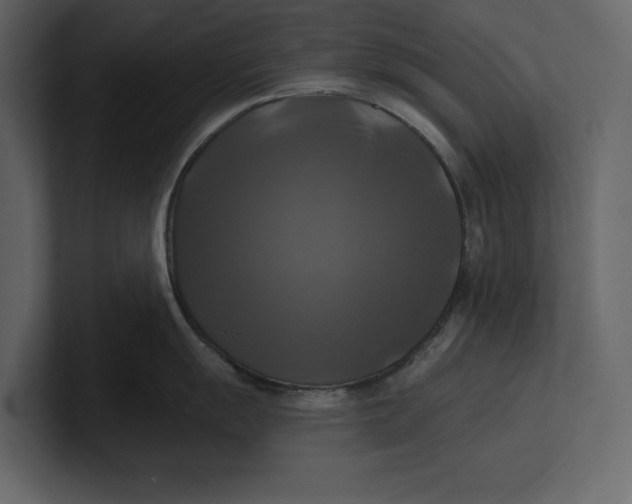 X0000100921055200807151218