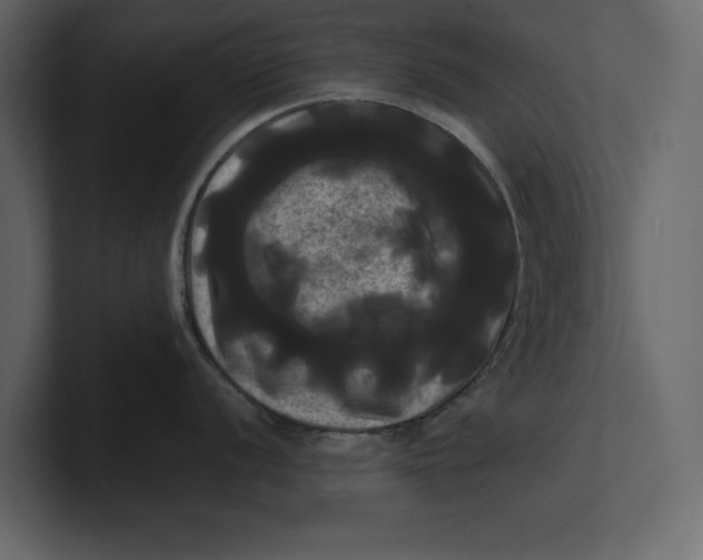 X0000100921056200807151218