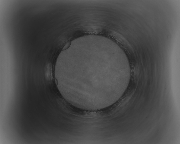 X0000100921058200807151217