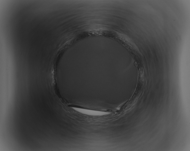 X0000100921060200807151217