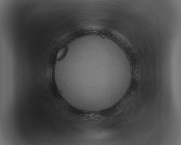 X0000100921061200807151217