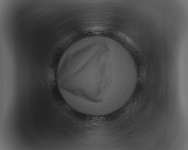 X0000100921062200807151217