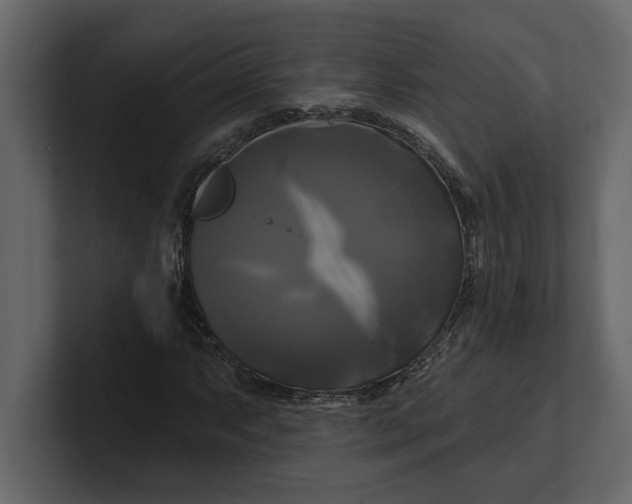 X0000100921063200807151217