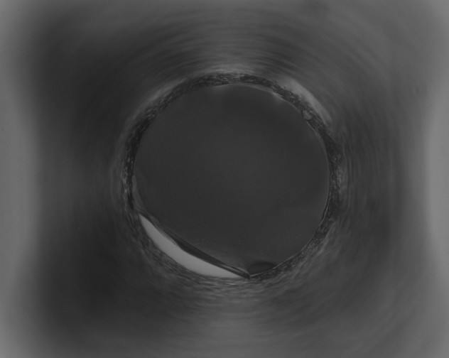 X0000100921064200807151217