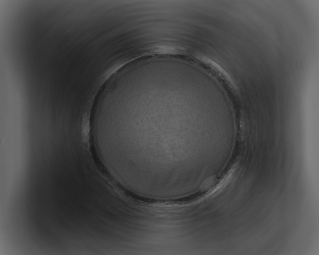 X0000100921065200807151217