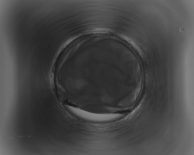 X0000100921066200807151217