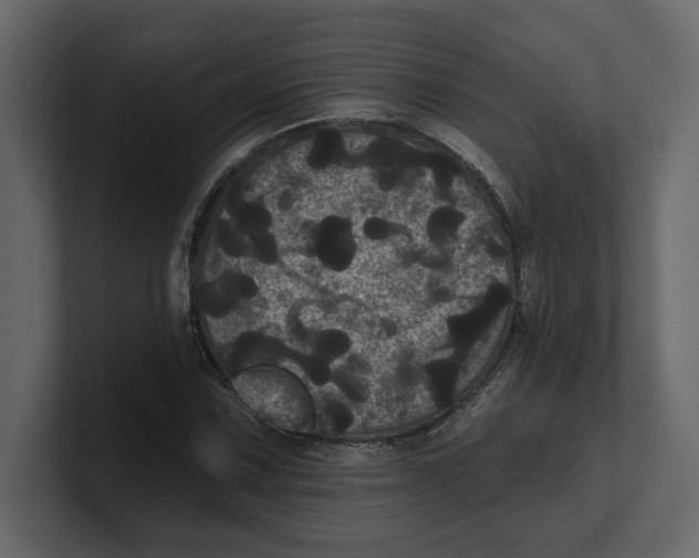 X0000100921067200807151217