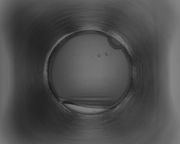 X0000100921068200807151217