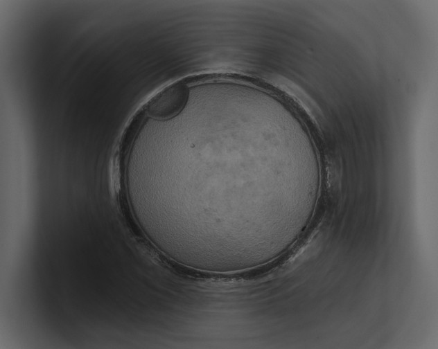 X0000100921069200807151217