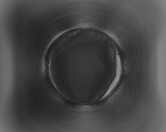 X0000100921070200807151217