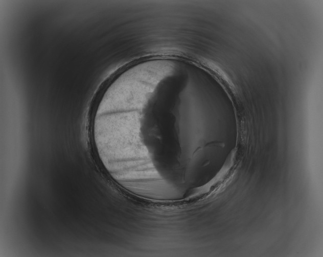 X0000100921071200807151217