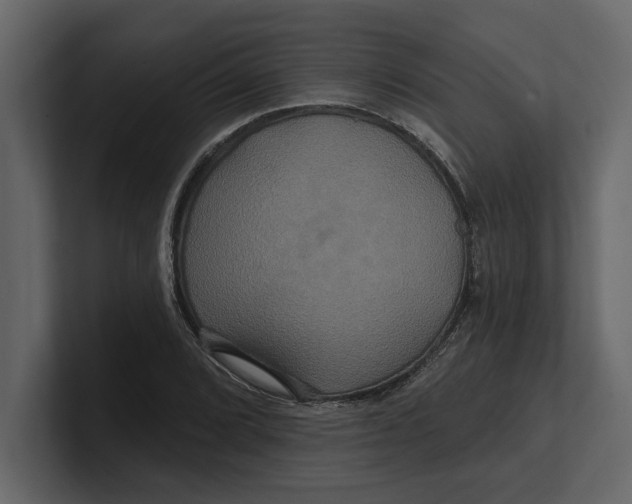 X0000100921072200807151217